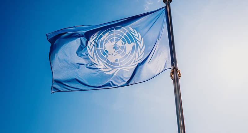 L'ONU, l'Agenda 2030 et Les Liens avec la Famille Rockefeller