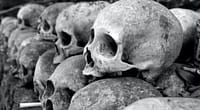 grey skulls piled on ground-La Menace du Kush en Afrique - Un Cocktail Dangereuxd'Os Humains et de Produits Chimiques