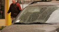 L'analyse choquante de la poussière de voiture révèle des métaux lourds et des éléments utilisés pour la modification du climat