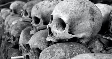 grey skulls piled on ground-La Menace du Kush en Afrique - Un Cocktail Dangereuxd'Os Humains et de Produits Chimiques