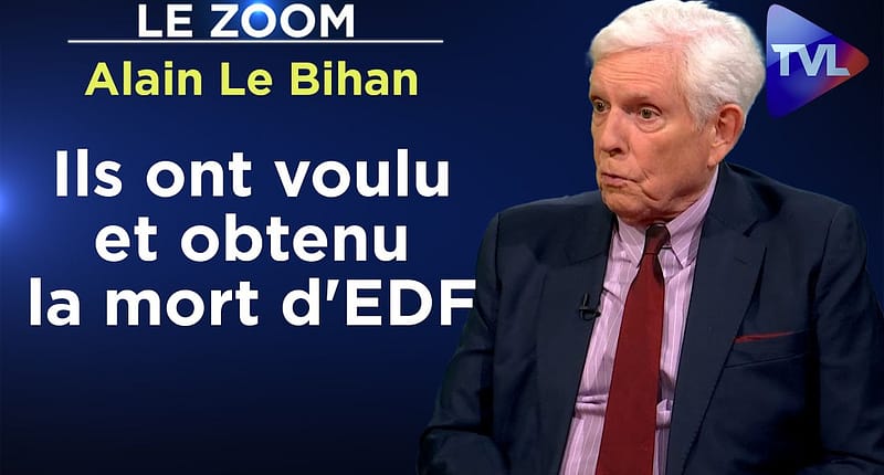 Faillite d'EDF : une trahison bruxello-allemande - Le Zoom -