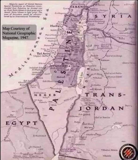 Palestine-1947-carte